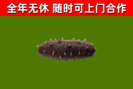 卫滨区烟酒回收干海参.jpg